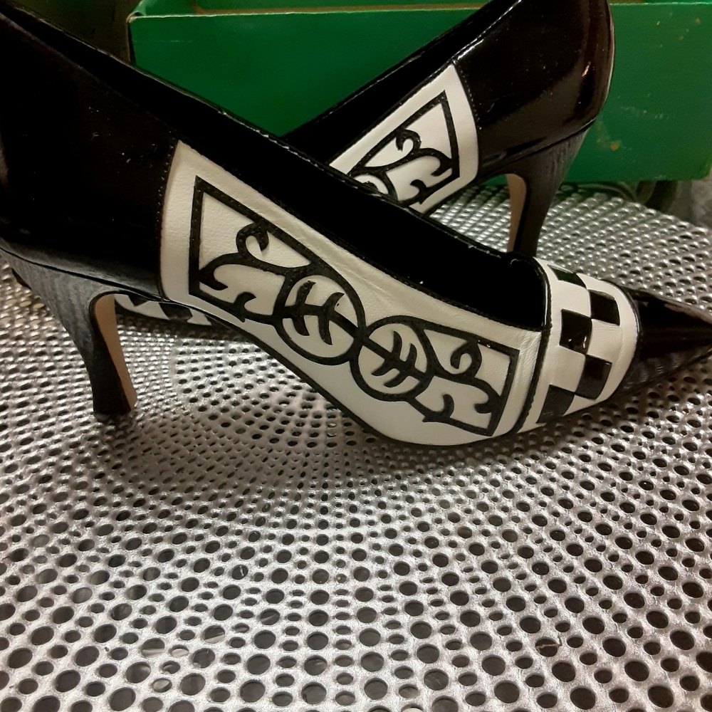 NEW "SCROLL" PUMP - Picture 6 of 7